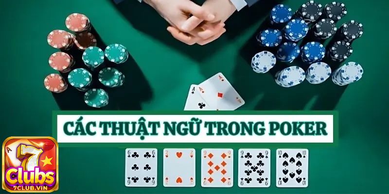 Các thuật ngữ trong Poker dùng để chỉ vị trí trên bàn